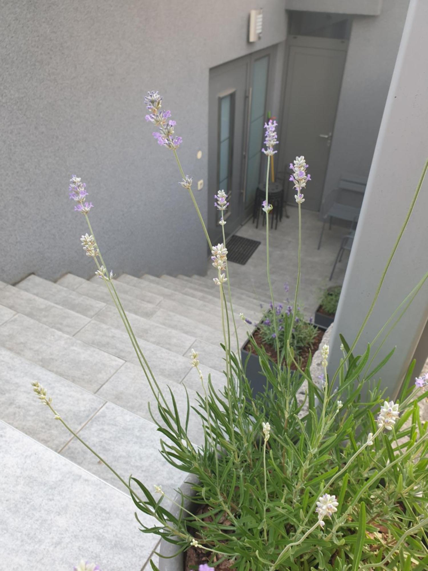 Apartment Emma Ljubljana - Free Parking, Ac, Wifi 部屋 写真